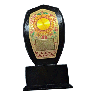 Award-13